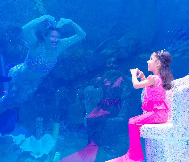 Why Families Choose Activities For Kids In Dubai Mall